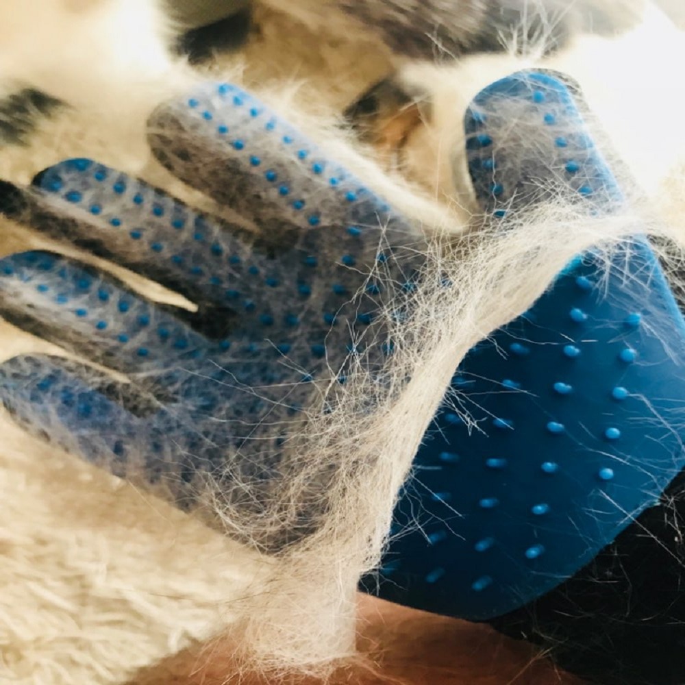 Petting Glove Shedding Groom Brush