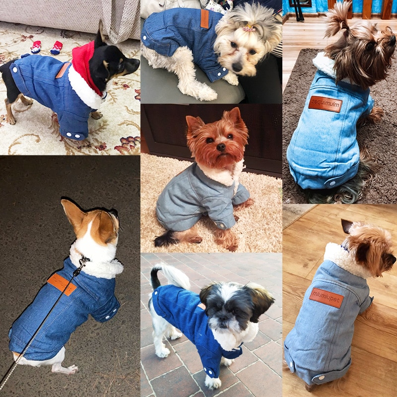 Dog Denim Jacket Winter Outerwear