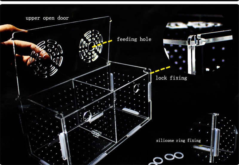 Breeding Box Fish Pet Supplies