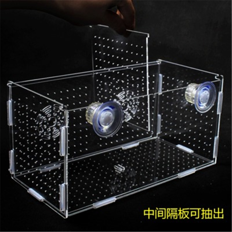 Breeding Box Fish Pet Supplies