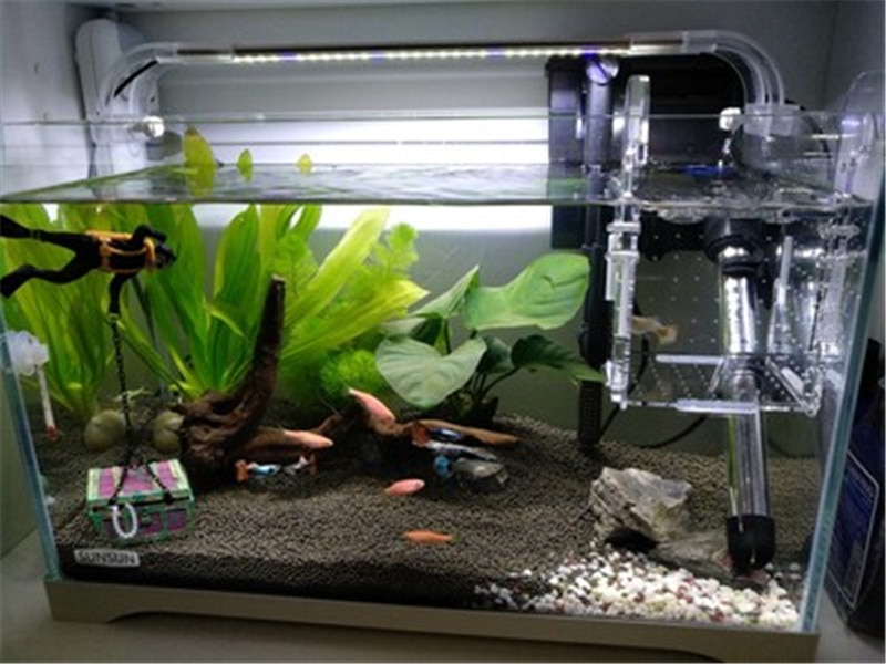 Breeding Box Fish Pet Supplies