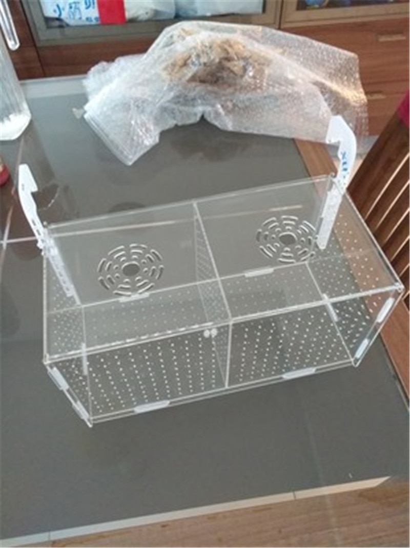 Breeding Box Fish Pet Supplies