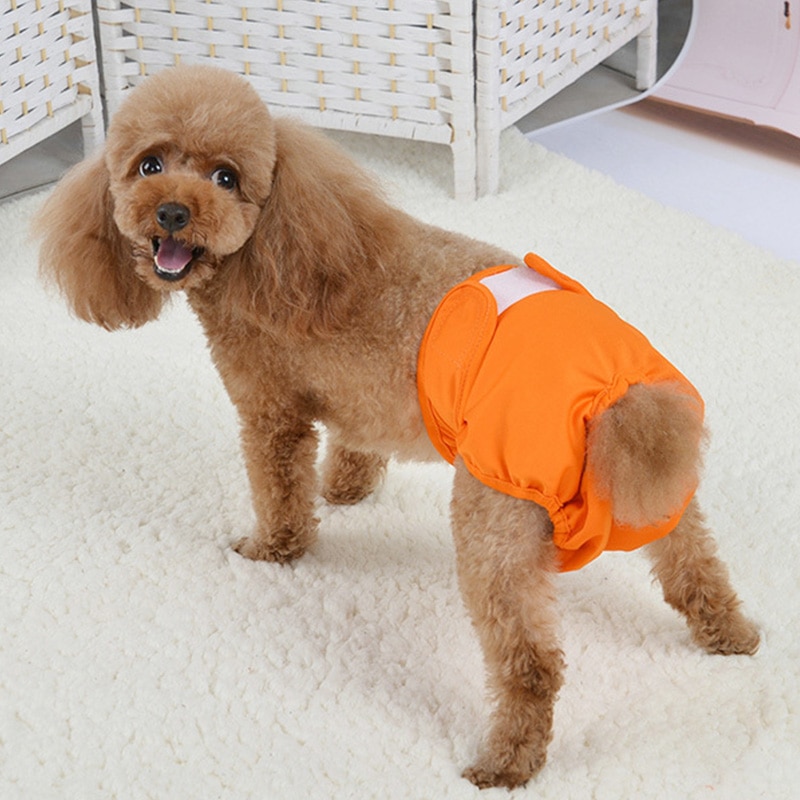 Puppy Diaper Reusable Pet Pants