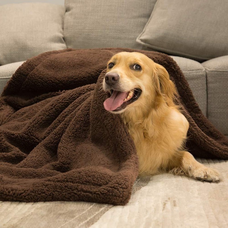 Dog Fleece Blanket Pet Comforter