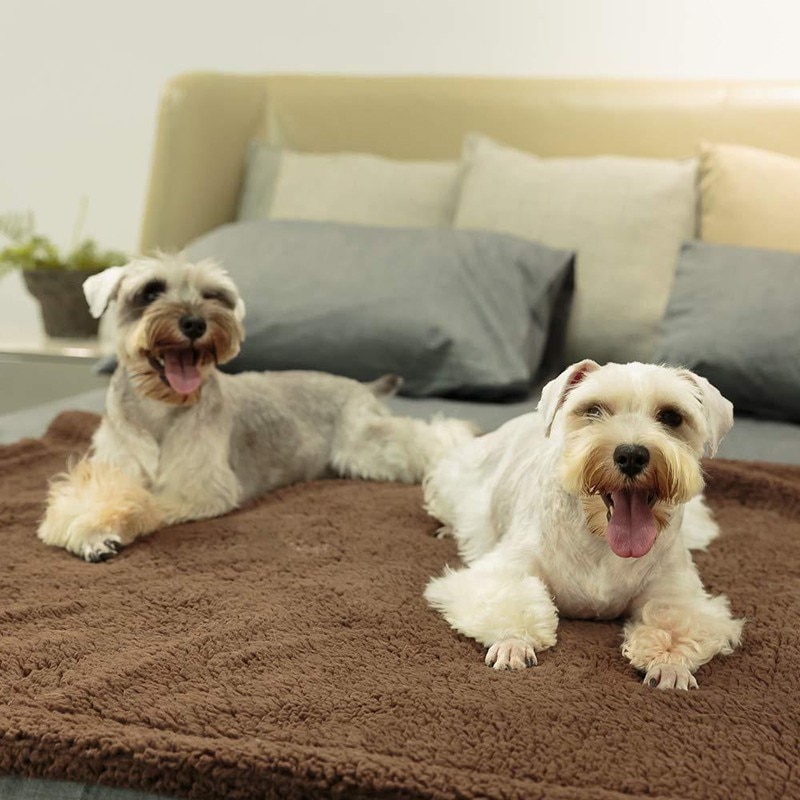 Dog Fleece Blanket Pet Comforter