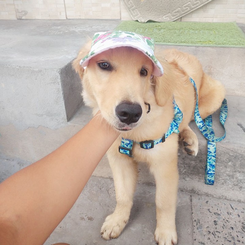 Dog Baseball Cap Adjustable Pet Hat