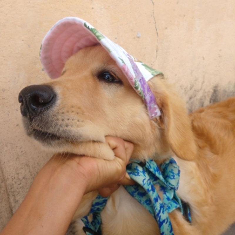 Dog Baseball Cap Adjustable Pet Hat