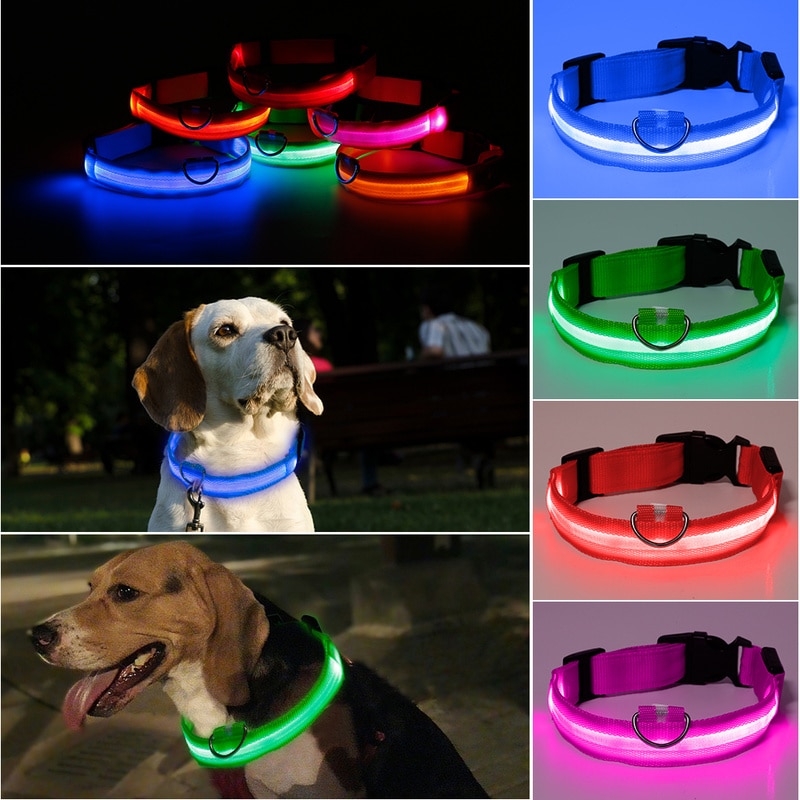 Glowing Dog Collar LED Safety Leash