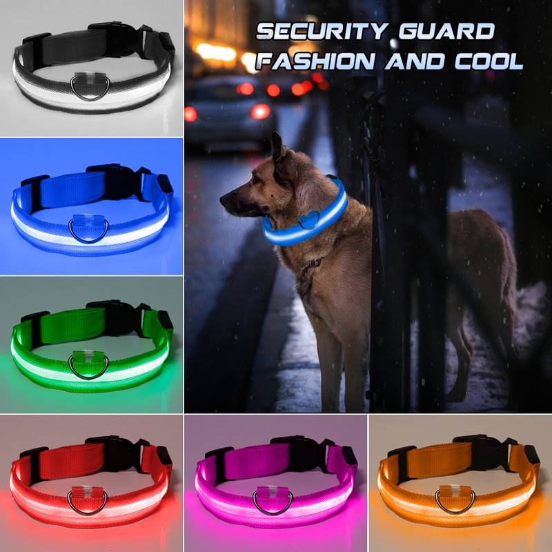 Glowing Dog Collar LED Safety Leash