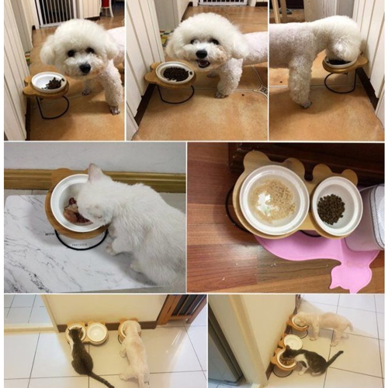 Ceramic Pet Bowl Feeder Stand