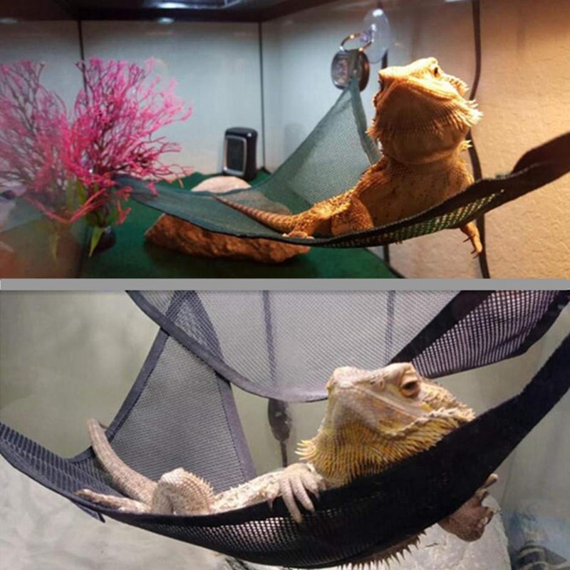 Reptile Hammock Lounger Ladder (2 pcs)