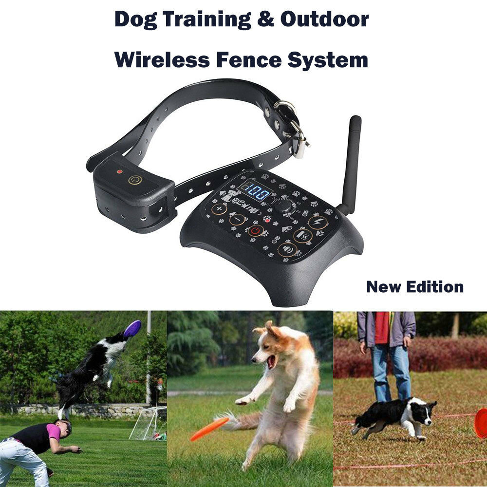 Wireless Dog Fence Collar and Controller