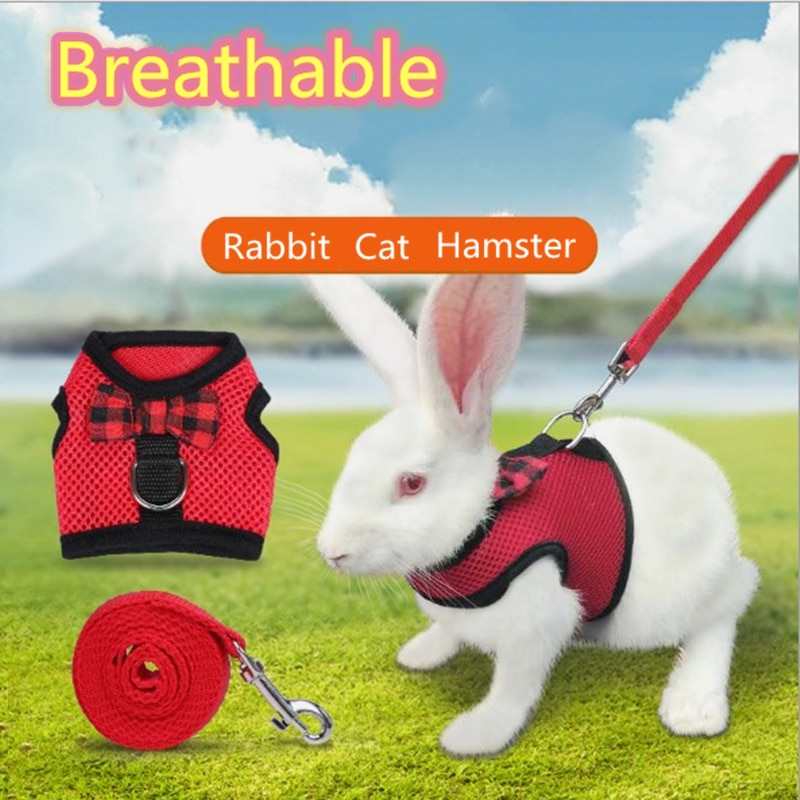 Bunny Harness Breathable Vest