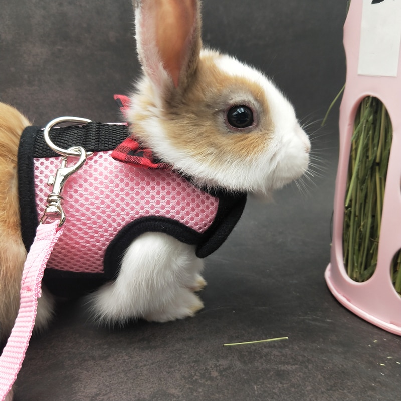 Bunny Harness Breathable Vest