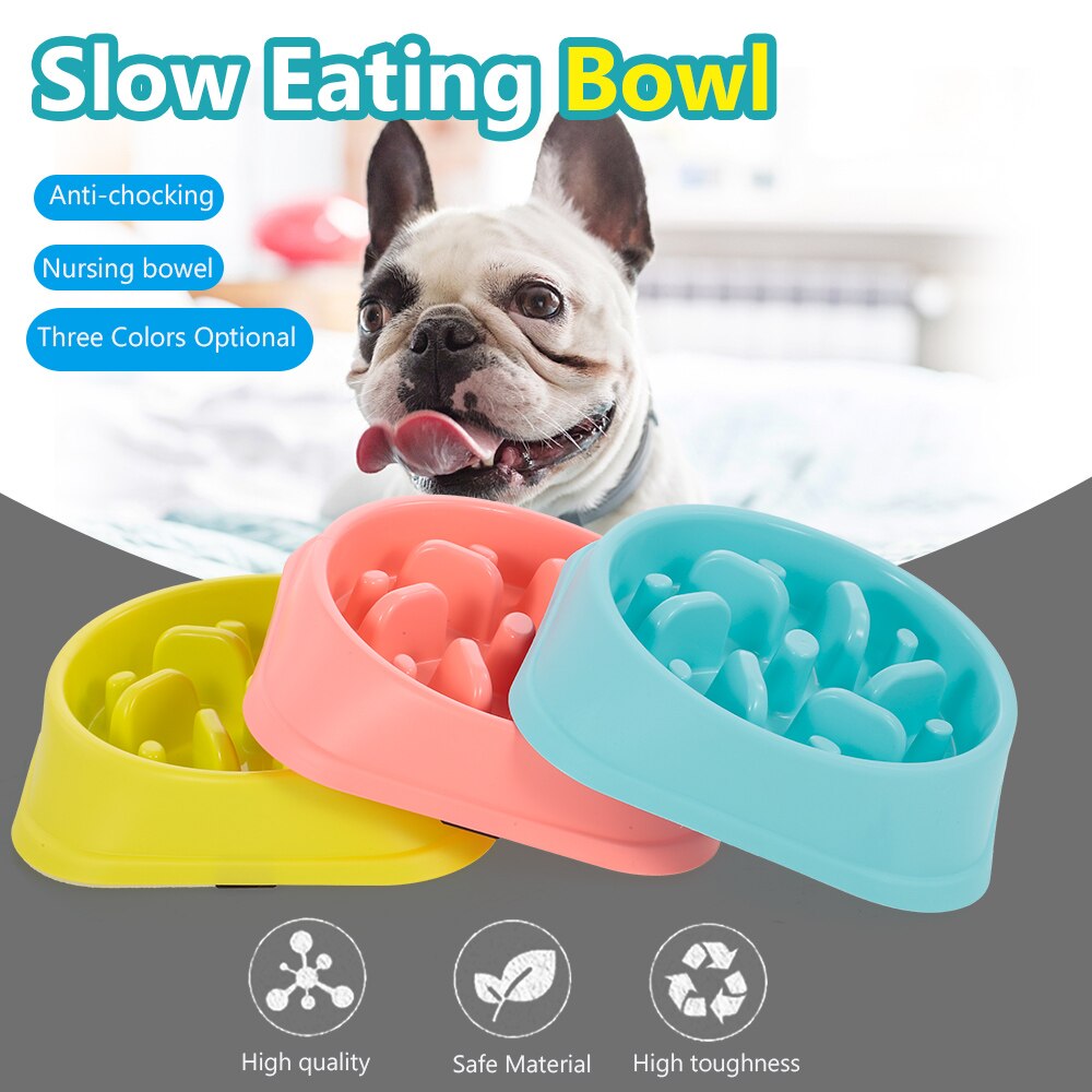 Slow Eating Dog Bowl Choking Prevention