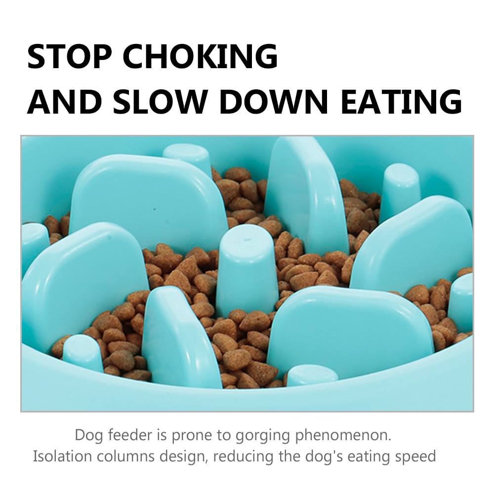 Slow Eating Dog Bowl Choking Prevention