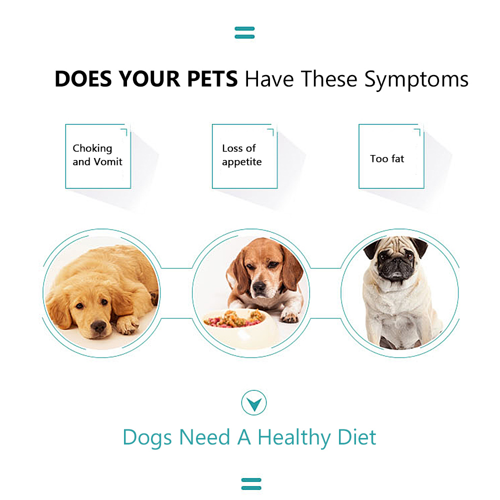 Slow Eating Dog Bowl Choking Prevention