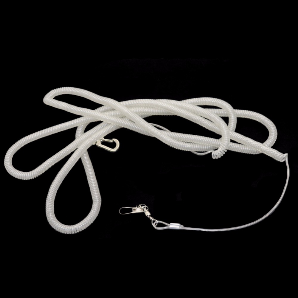 Bird Leash Pet Training Rope  