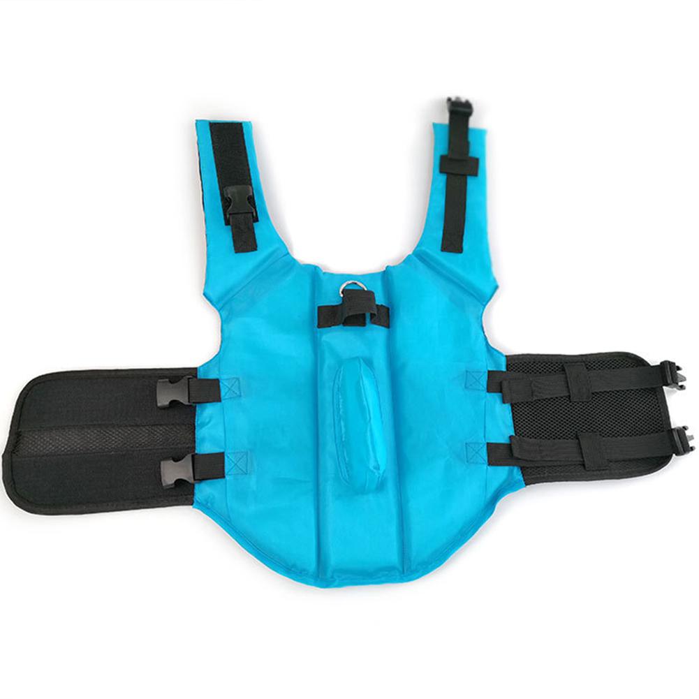 Dog Shark Life Jacket Adjustable Straps