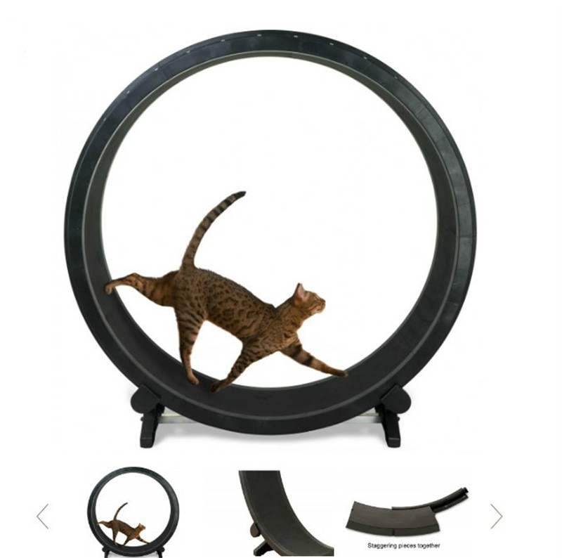 Cat Treadmill Pet Accessory