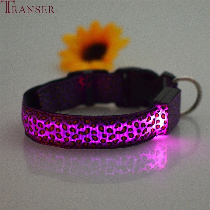 Glow in the Dark Dog Collar Leopard Print