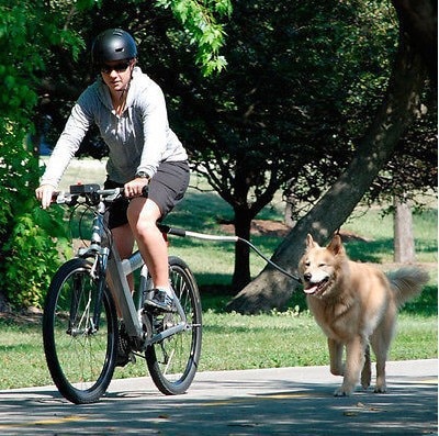 Dog Bike Leash Pet Accessory