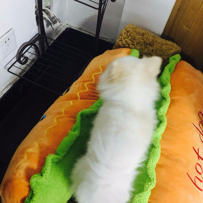 Hot Dog Dog Bed Pet Lounger