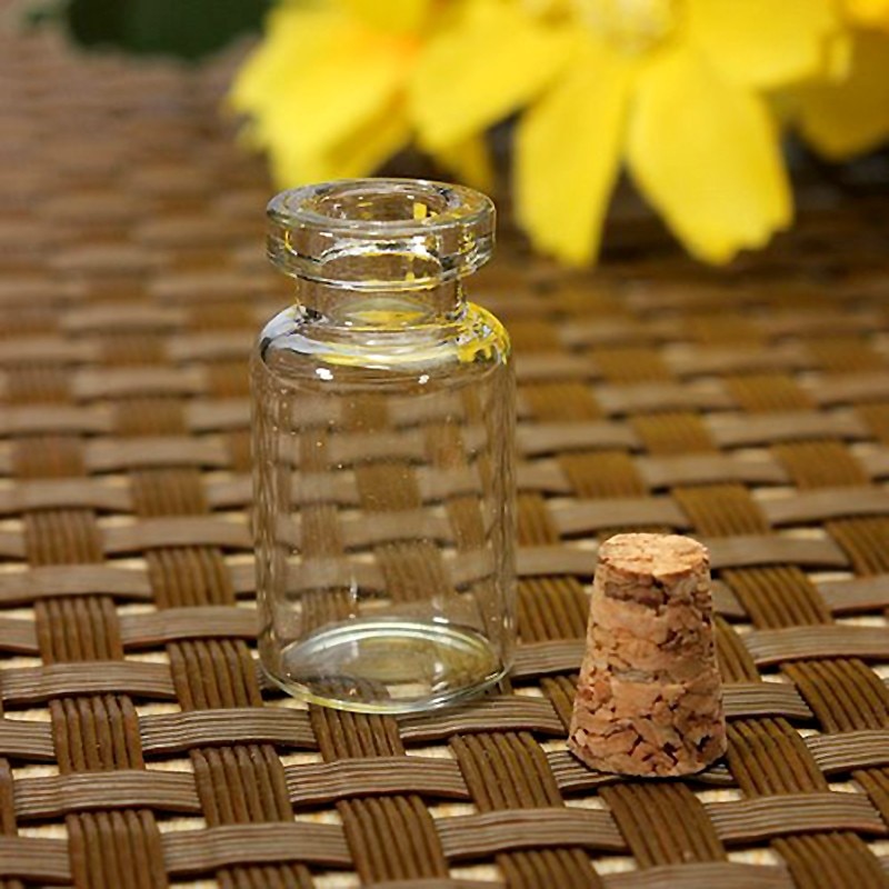 Vial Bottles Glass Containers (10pcs)