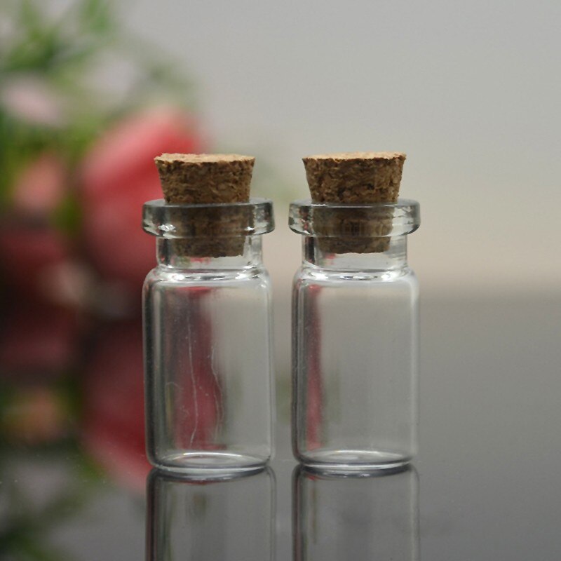 Vial Bottles Glass Containers (10pcs)